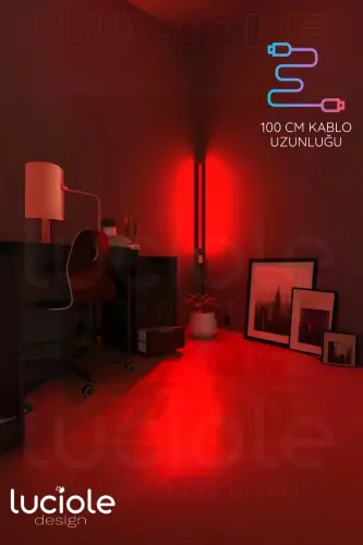 Renkli Ses Kontrollü RGB LED Lamba – Kumandalı Aplik / Abajur Işık Efektli Dekor-Ses - LUCIOLE (1)