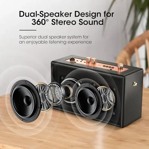 Retro Karaoke Machine with Two Wireless Microphones, Portable Bluetooth Speaker for Adults and Kids, Rechargeable PA System for Home Party, AUX/USB/TF/OTG Support, Vintage Decor Gifts - NIAUFUX