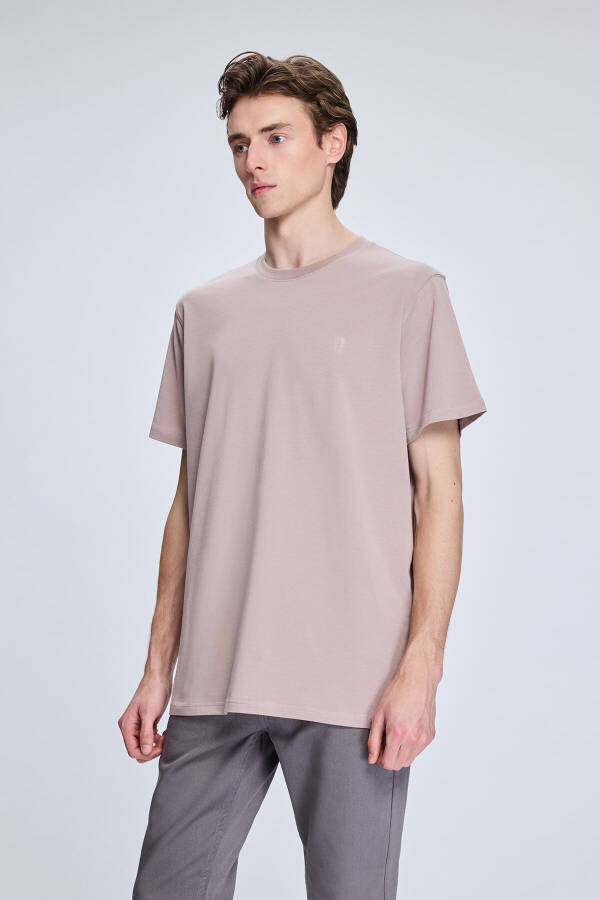 Rose Ash Regular Fit Crew Neck Cotton Knit - 3