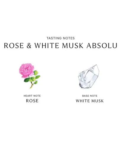 Rose & White Musk Absolu, 3.4-oz-No Color - 3