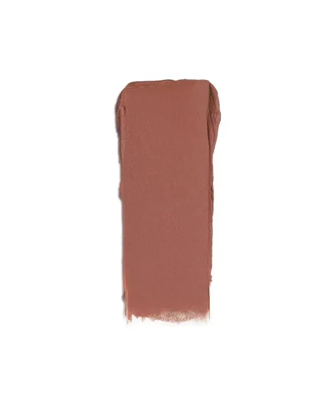 Rouge Artist Velvet Nude Soft Matte Lipstick, Created for Modazone - 107 Cosy Taupe - 2