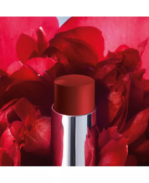 Rouge Dior Forever Transfer-Proof Lipstick 866 Forever Together (A brownish red) - 4