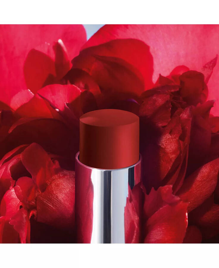 Rouge Dior Forever Transfer-Proof Ruj 866 Forever Together (Kahverengimsi Kırmızı) - 4