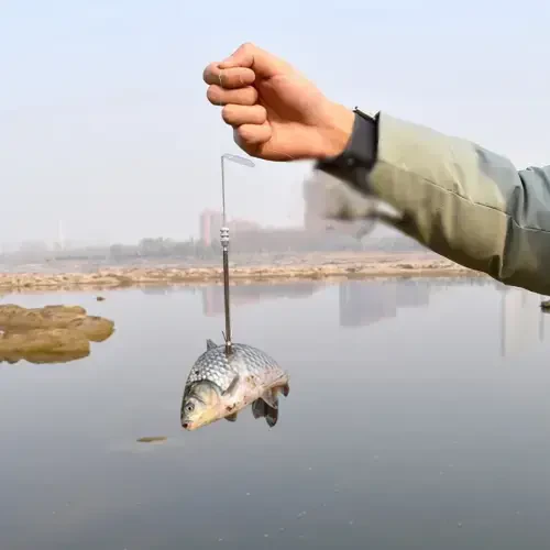 Runzkzy Multifunctional Shooting Fish Slingshot Powerful Catapult Hunting Bow Fishing Sling Shot Arrow Kit - 9