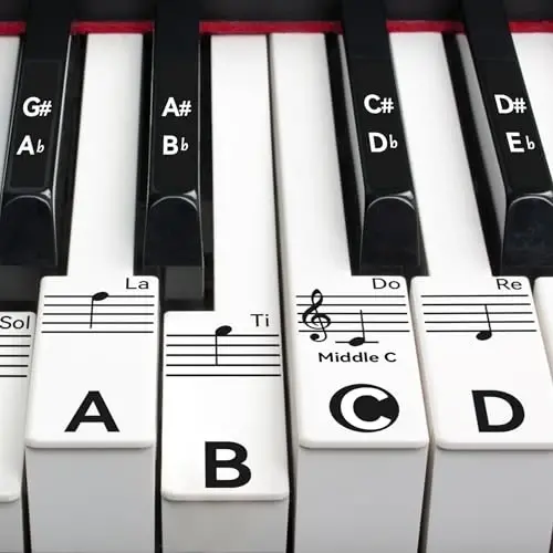 Runzoos Piano Key Stickers for 88/76/61/54/49 Keys, Removable Piano Stickers for Beginners, Piano Keyboard Stickers for Kids, Keyboard Stickers for Piano Keys, Piano Key Labels Notes (Black) 