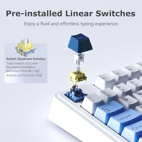 FIRSTBLOOD ONLY GAME. AK980 101-Key Hot-Swappable Mechanical Keyboard, Gasket Mount RGB Backlit, Programmable Macro, Full N-Key Rollover, with Dreamscape Linear Switches (Glacier Blue) - 3