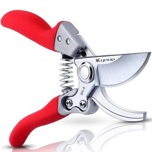 Kynup Pruning Shears for Gardening, Garden Hand Shears, Professional Bypass Pruner Hand Shears Heavy Duty, Pruners for Gardening, Garden Clippers, Hedge Shears, Garden Tools(Red) - 1