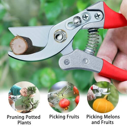 Kynup Pruning Shears for Gardening, Garden Hand Shears, Professional Bypass Pruner Hand Shears Heavy Duty, Pruners for Gardening, Garden Clippers, Hedge Shears, Garden Tools(Red) - 5