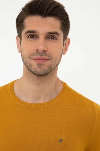 Saffron Men's Sweater G021SZ0TK.000.1389957-VR043 - PIERRE CARDIN (1)