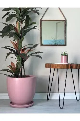 Saksı Tabaklı 30cm Pudra Renk-Pudra Pembesi - 1