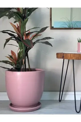 Saksı Tabaklı 30cm Pudra Renk-Pudra Pembesi - 2