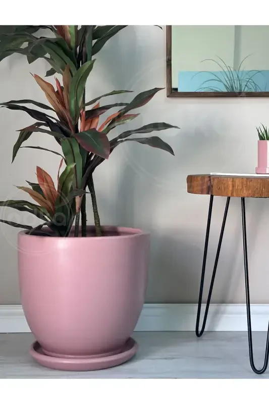 Saksí Tabakli 30sm Pudra Rengk-Pudra Pembesi - 2