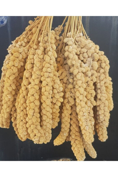Sarı Dal Darı 250 Gr - GENEL MARKALAR