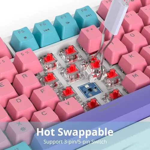 SbocKeeb 75 foiz Pushti Klaviatura Gasket-Mounted, ovoz yutuvchi yostiqchalar va Pbt Keycaps bilan, 82 tugmali ixcham simli RGB mexanik o'yin klaviaturasi Win uchun Hot-Swap Socket, Miami mavzusi Pushti - 3