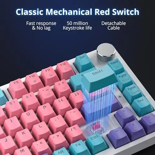SbocKeeb 75 foiz Pushti Klaviatura Gasket-Mounted, ovoz yutuvchi yostiqchalar va Pbt Keycaps bilan, 82 tugmali ixcham simli RGB mexanik o'yin klaviaturasi Win uchun Hot-Swap Socket, Miami mavzusi Pushti - 5
