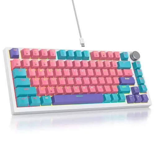 SbocKeeb 75 foiz Pushti Klaviatura Gasket-Mounted, ovoz yutuvchi yostiqchalar va Pbt Keycaps bilan, 82 tugmali ixcham simli RGB mexanik o'yin klaviaturasi Win uchun Hot-Swap Socket, Miami mavzusi Pushti - 1