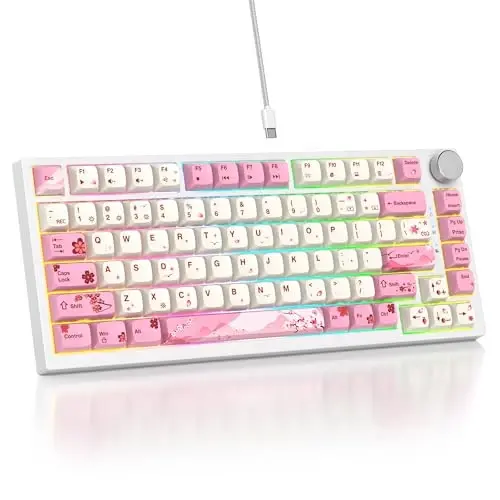 SbocKeeb 75 foiz Pushti Klaviatura Gasket-Mounted, Ovozni yutuvchi prokladkalar bilan, 82 tugmachali ixcham simli RGB mexanik oʻyin klaviaturasi Win uchun Hot-Swap Socket, Ying 