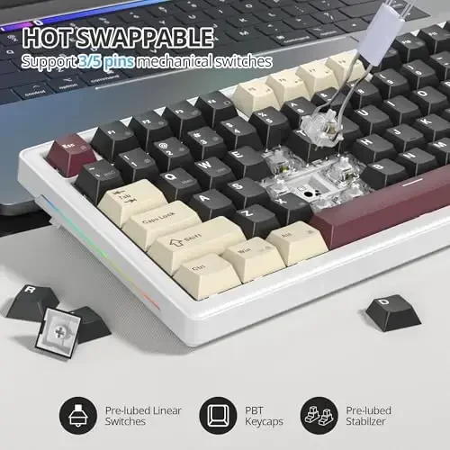 SbocKeeb 75% mexanik klaviatura Gasket Knob bilan, maxsus simli kremli oʻyin klaviaturasi TKL 75 foiz Hot Swappable RGB yoritilgan, Win/MAC uchun oldindan moylangan Switch（Roma/White Switch） - 5