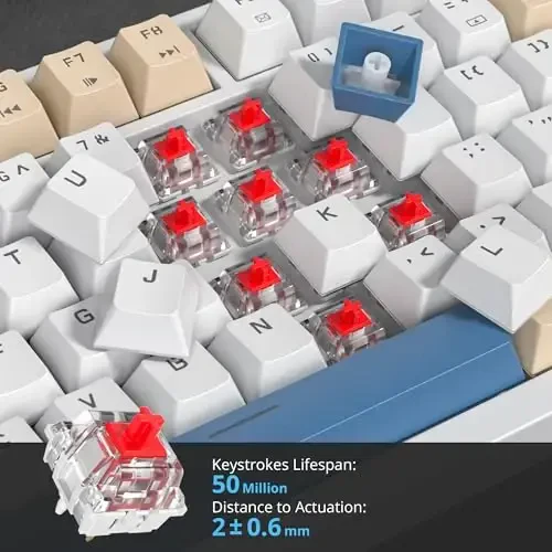 SbocKeeb 75 Percent Keyboard Gasket-Mounted with Sound Absorbing Pads, 82-Key Compact Wired RGB Mechanical Gaming Keyboard Hot-Swap Socket for Win, Soy Milk - 5