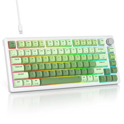 SbocKeeb 75% Yashil Mexanik Klaviatura Prokladka bilan, Tugmali, Maxsus Simli Qaymoqli O'yin Klaviaturasi TKL 75 Foizli Issiq almashtiriladigan RGB Orqa Yoritishli, Win/MAC uchun Oldindan Moylangan Kalit, Yashil - 1