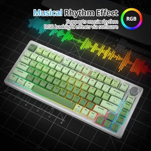 SbocKeeb 75% Yashil Mexanik Klaviatura Prokladka bilan, Tugmali, Maxsus Simli Qaymoqli O'yin Klaviaturasi TKL 75 Foizli Issiq almashtiriladigan RGB Orqa Yoritishli, Win/MAC uchun Oldindan Moylangan Kalit, Yashil - 4