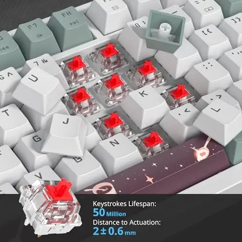 SbocKeeb 75 Percent Keyboard Gasket-Mounted with Sound Absorbing Pads, 82-Key Compact Wired RGB Mechanical Gaming Keyboard Hot-Swap Socket for Win, Mist - 5