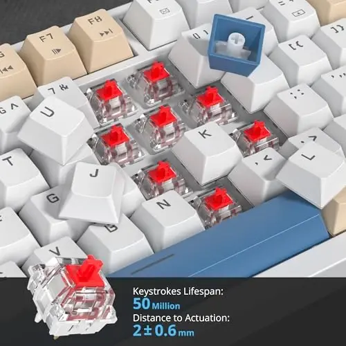 SbocKeeb 75 Percent Keyboard Gasket-Mounted with Sound Absorbing Pads, 82-Key Compact Wired RGB Mechanical Gaming Keyboard Hot-Swap Socket for Win, Soy Milk - 5