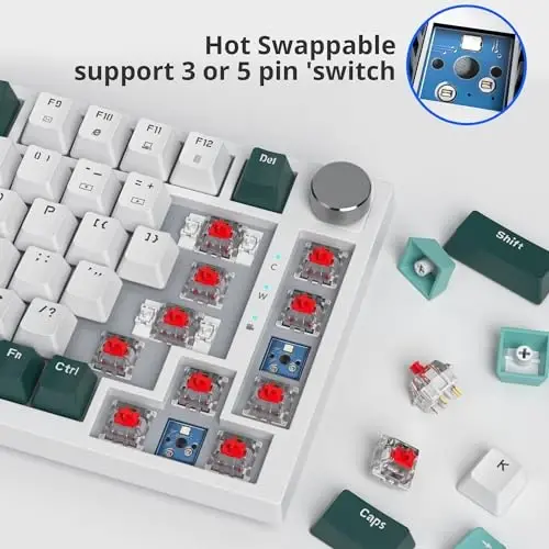 SbocKeeb 75 Percent Keyboard Gasket-Mounted with Sound Absorbing Pads, 82-Key Compact Wired RGB Mechanical Gaming Keyboard Hot-Swap Socket for Win, Green Forest - 4