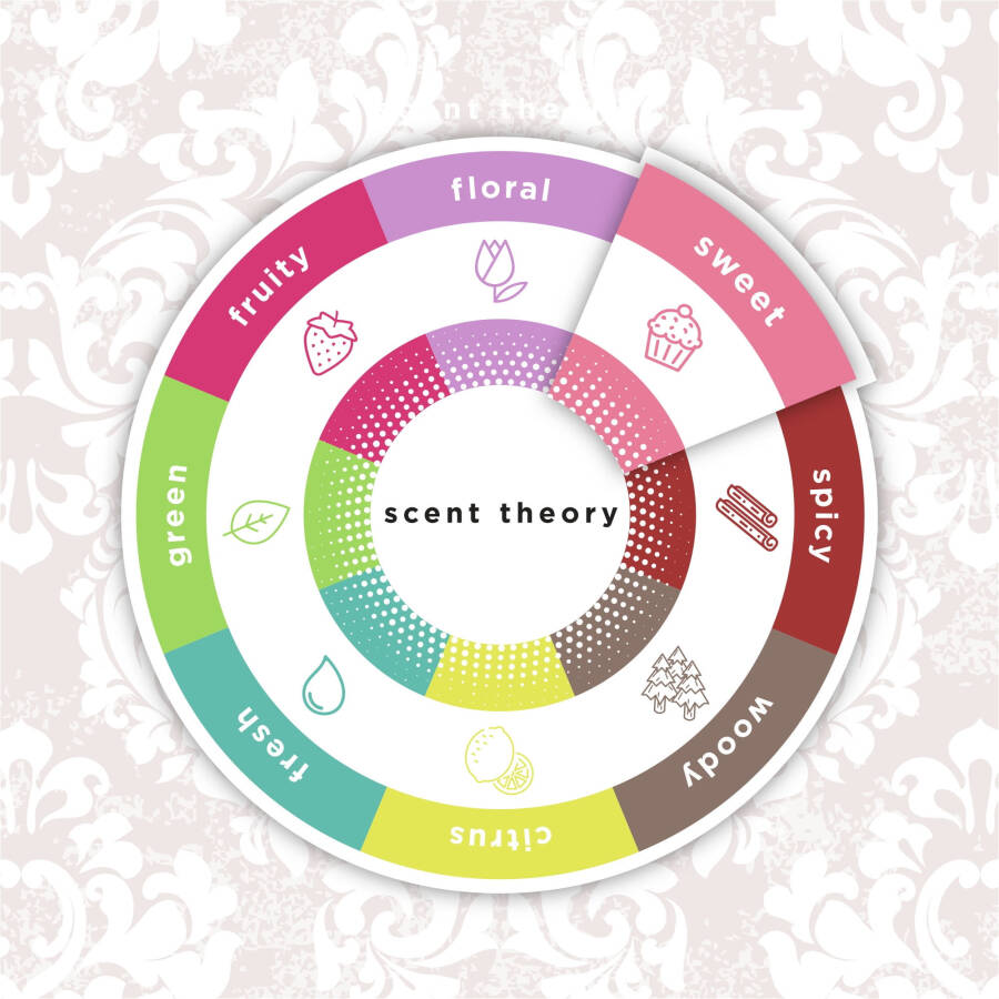 Scent Theory Hand and Body Cream with Shea Butter, Velvet Vanilla, 8 oz - 14