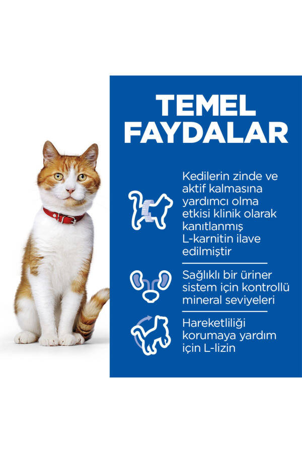 SCIENCE PLAN Ton Balıklı Kısırlaştırılmış Yetişkin Kedi Maması 10 Kg - 20