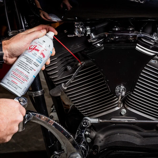 Sea Foam Motor Treatment and Spray Combo SF SS Automotive Additives, 24 oz - SEA FOAM (1)