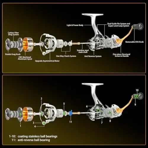 SeaKnight Rapid Saltwater Spinning Reel, 4.7: 1,6.2: 1 High Speed, Max Drag 33Lbs, Smooth Fresh and Saltwater Fishing Reel - 4