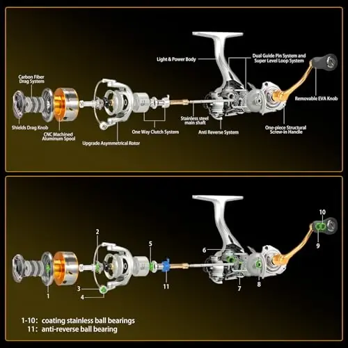 SeaKnight Rapid Saltwater Spinning Reel, 4.7: 1,6.2: 1 High Speed, Max Drag 33Lbs, Smooth Fresh and Saltwater Fishing Reel - 4