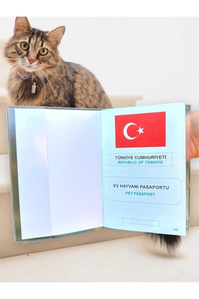 Şeffaf Pet Pasaport Kabı Kılıfı Su Geçirmez Evcil Hayvan Pasaport Kılıfı-Şeffaf - GEMPO (1)