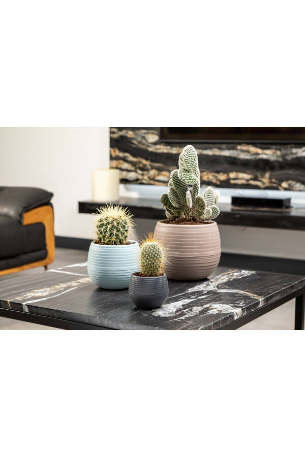 Serinova Elvan Cactus Pot 3-Pack No 0,13 Lt - 5