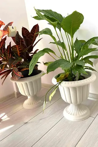 Serinova Narcissus Pot 6 Liter Dirty White Foot Plastic Flower Pot - 8
