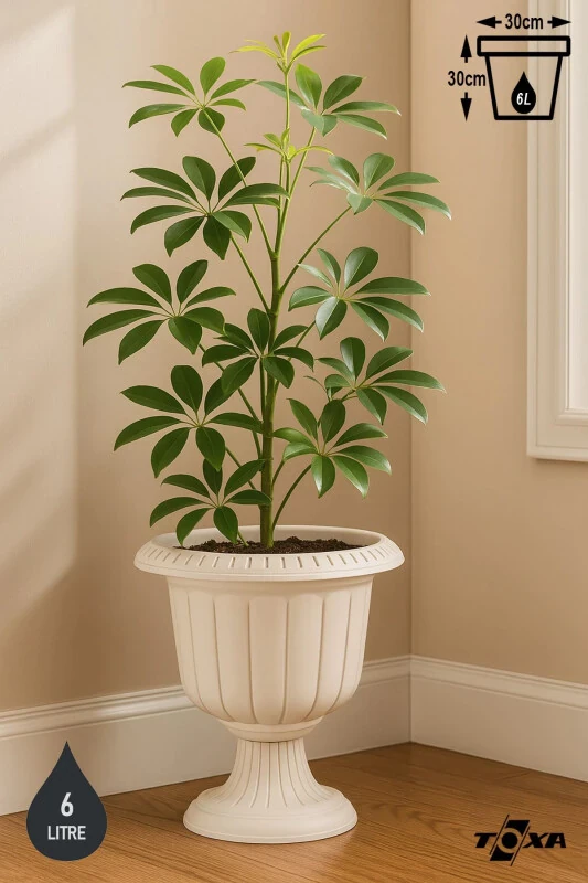 Serinova Nargis Idish 6 Litr Kirli Oq Oyoqli Plastik Gul Idish - TOXA