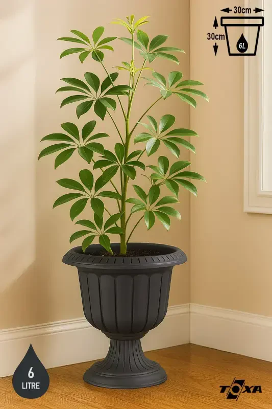 Serinova Nergis Pot 6 Liter Anthracite Footed Plastic Flower Pot-Anthracite - 1