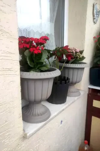 Serinova Nergis Saksı 6 Litre Deliksiz Mocha Kahve Ayaklı Plastik Çiçek Saksısı-Kahve - 7