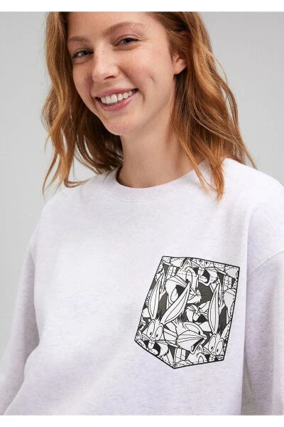 Серый свитер Bugs Bunny 1S10105-85438 - 27