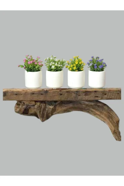 Set of 4 Small Decorative Planters without Flowers, White - GENEL MARKALAR (1)