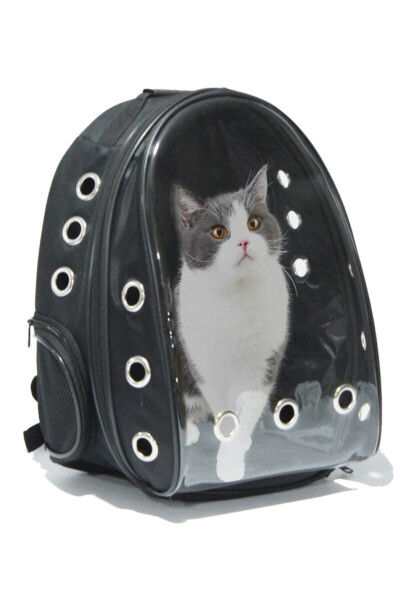 Shatterproof Glass Pet Carrier Travel Bag with Transparent Air Channels 42*22*33 Cm Black - 1