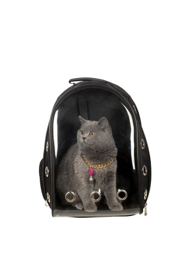 Shatterproof Glass Pet Carrier Travel Bag with Transparent Air Channels 42*22*33 Cm Black - 5