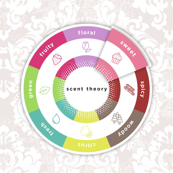 Shea Yağı, Kadifemsi Vanilya İle Scent Theory El ve Vücut Kremi, 8 oz - 14