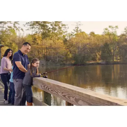 Shimano Fishing Rod & Reel Sienna Spinning Combo Freshwater|Combo|Spinning - 4