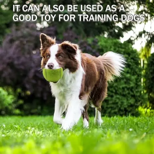 SHYUJAJIE Tennis Balls, 6 Pack Training Tennis Balls,High Elasticity Practice Balls for Beginner, Playing Balls for Dogs - 4