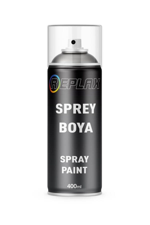 Silver Gray Touch-Up Spray Paint Xsc2431 - 1