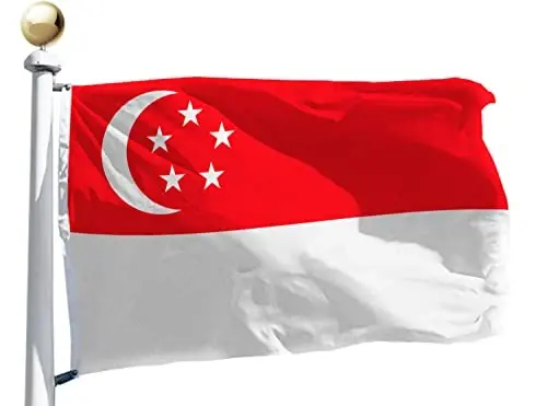 Singapore Flag Large 3x5 Ft, Moderate-Outdoor Both Sides 100D Polyester,Canvas Header and Double Stitched - Brass Grommets for Easy Display, 3' x 5' Singaporean Flags - 1