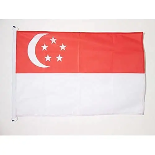 Singapur dengiz bayrog'i 18'' x 12'' - Singapur bayroqlari 30 x 45 sm. - Qayiq uchun banner 12x18 dyuym - AZ FLAG 