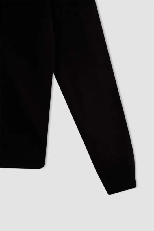Slim Fit Half Fisherman Neck Knit Sweater Black - 8